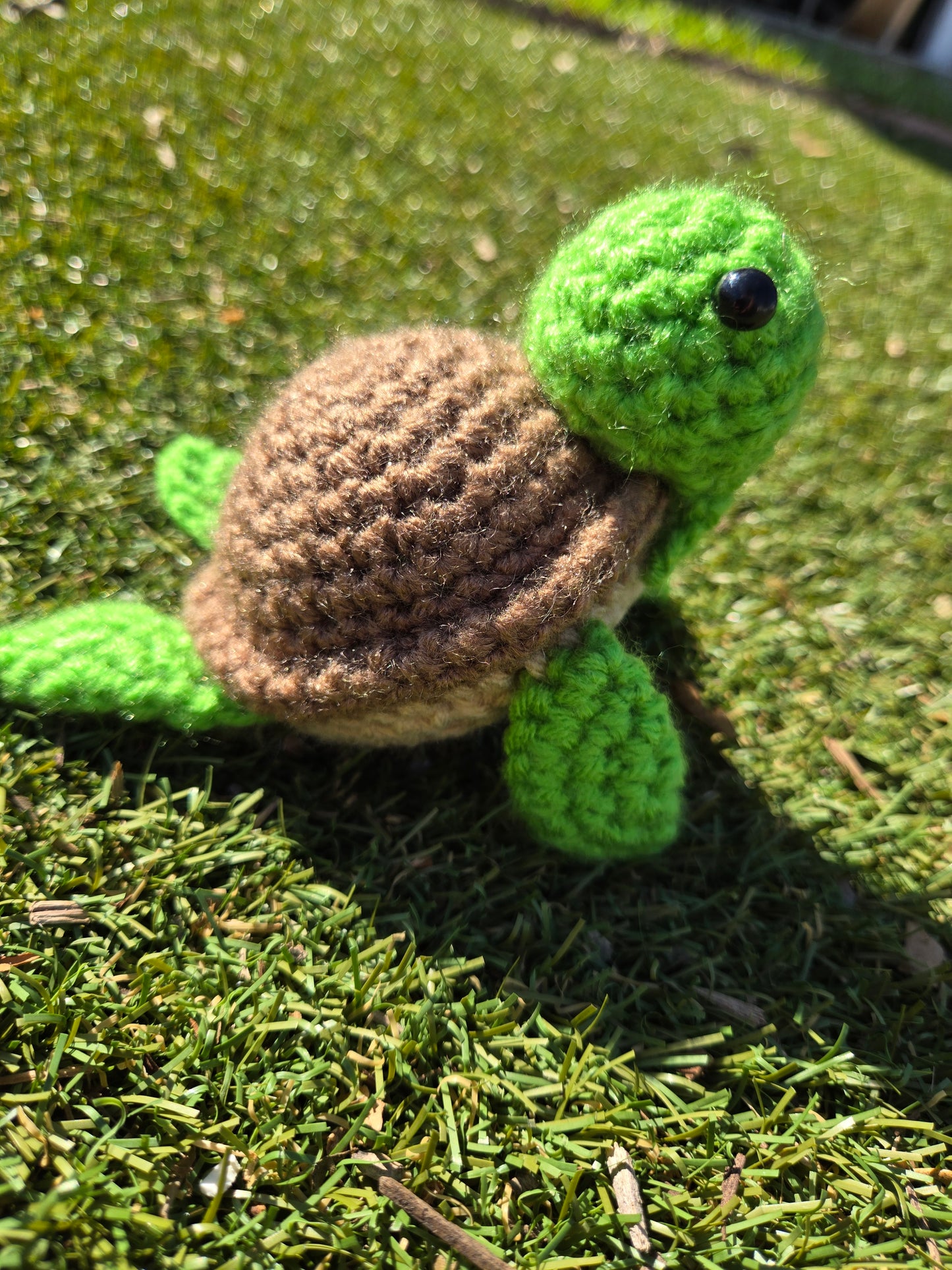 Bright green turtle