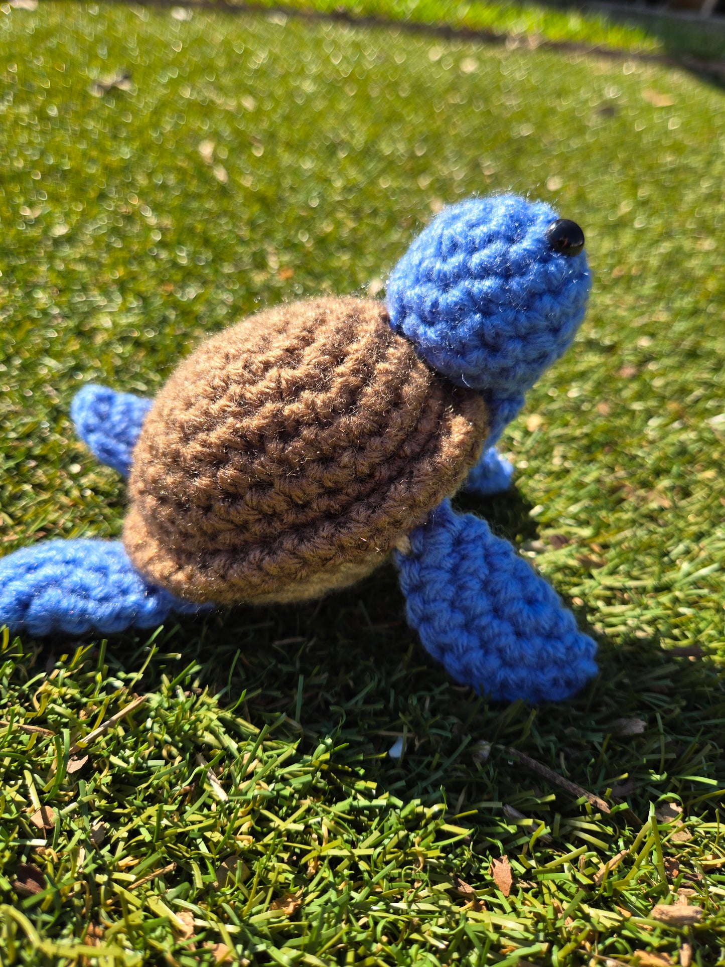 Blue turtle