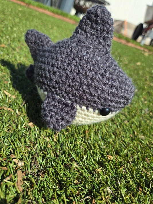 Dark Grey shark